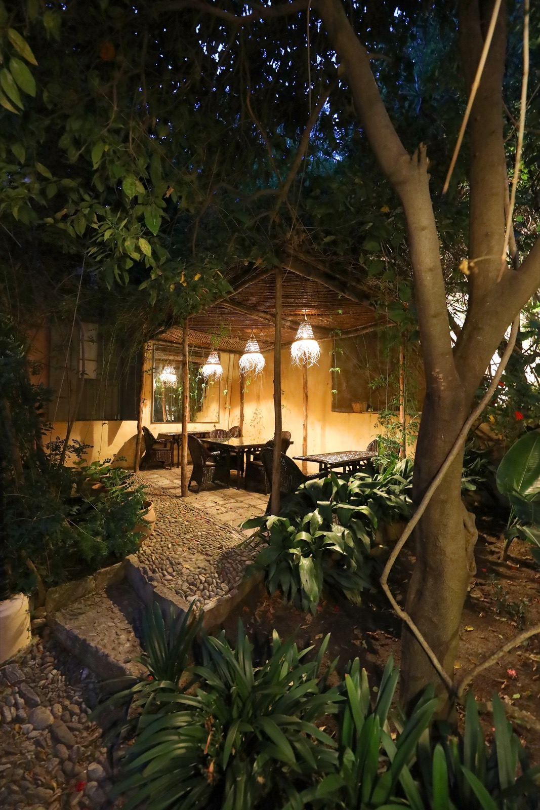 Le jardin de Mimi Calpe à la nuit tombée, tables dressées sous la pergola et suspensions allumées parmi les arbres