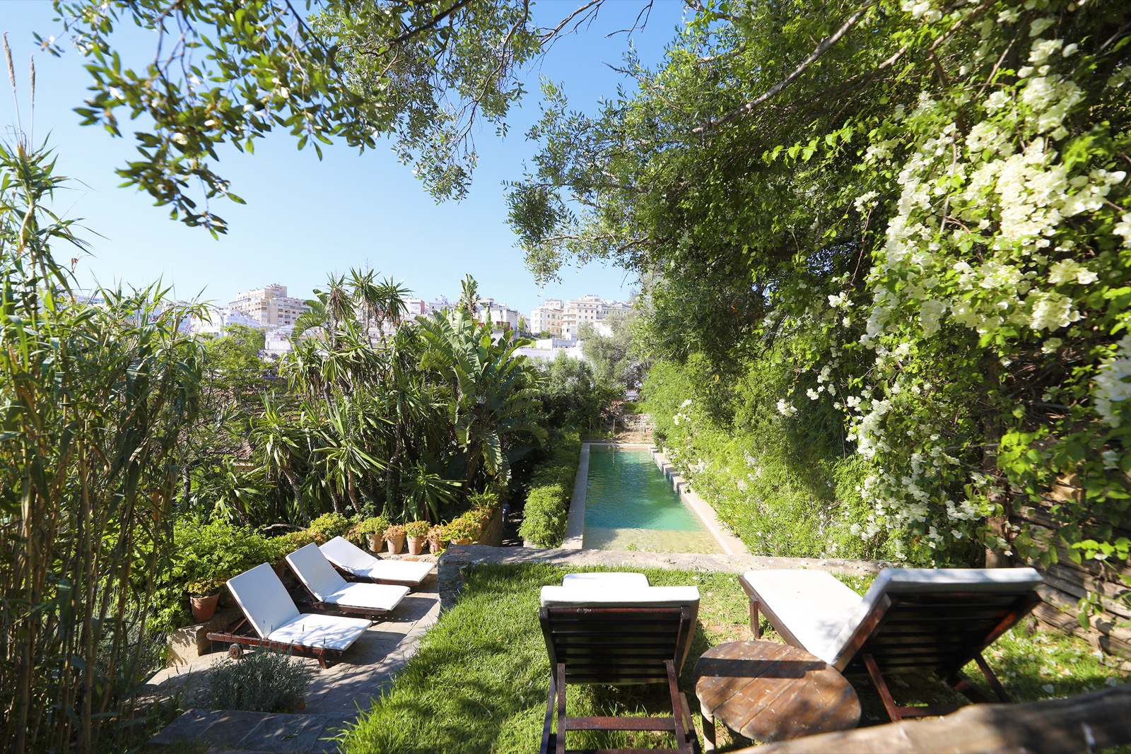 La grande piscine turquoise du jardin, bordée de haies et de palmiers, la baie de Tanger au loin