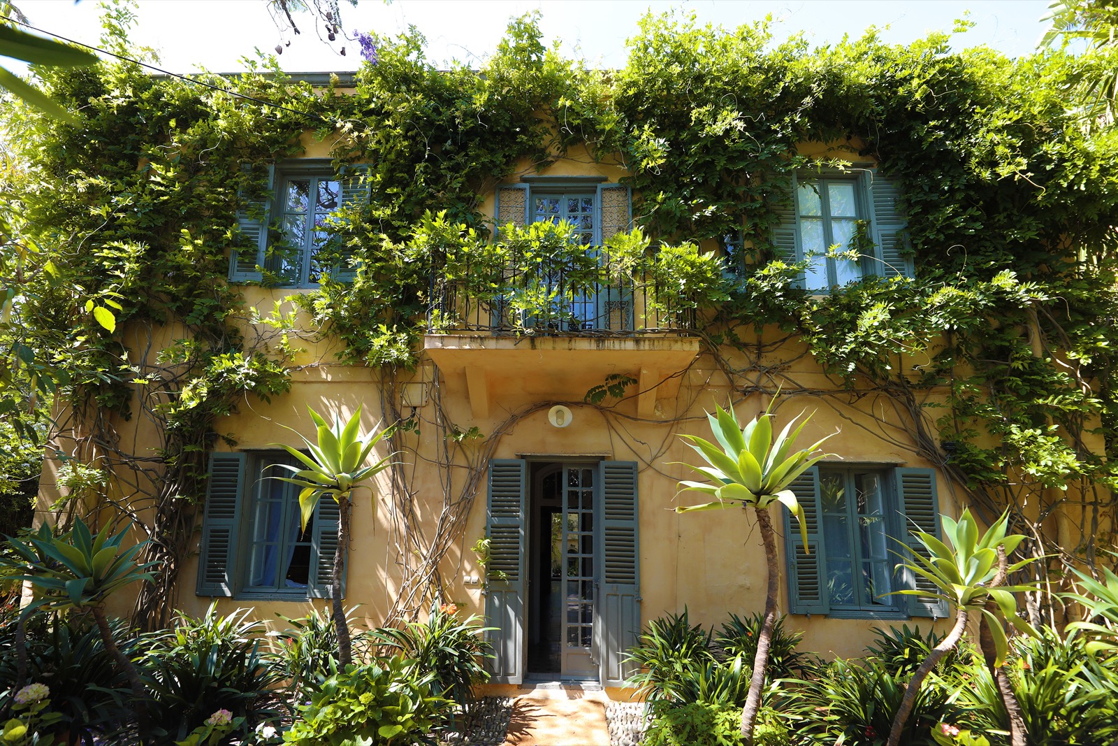 La façade jaune de Mimi Calpe sous la glycine, volets bleus et porte-fenêtre ouverte sur le jardin