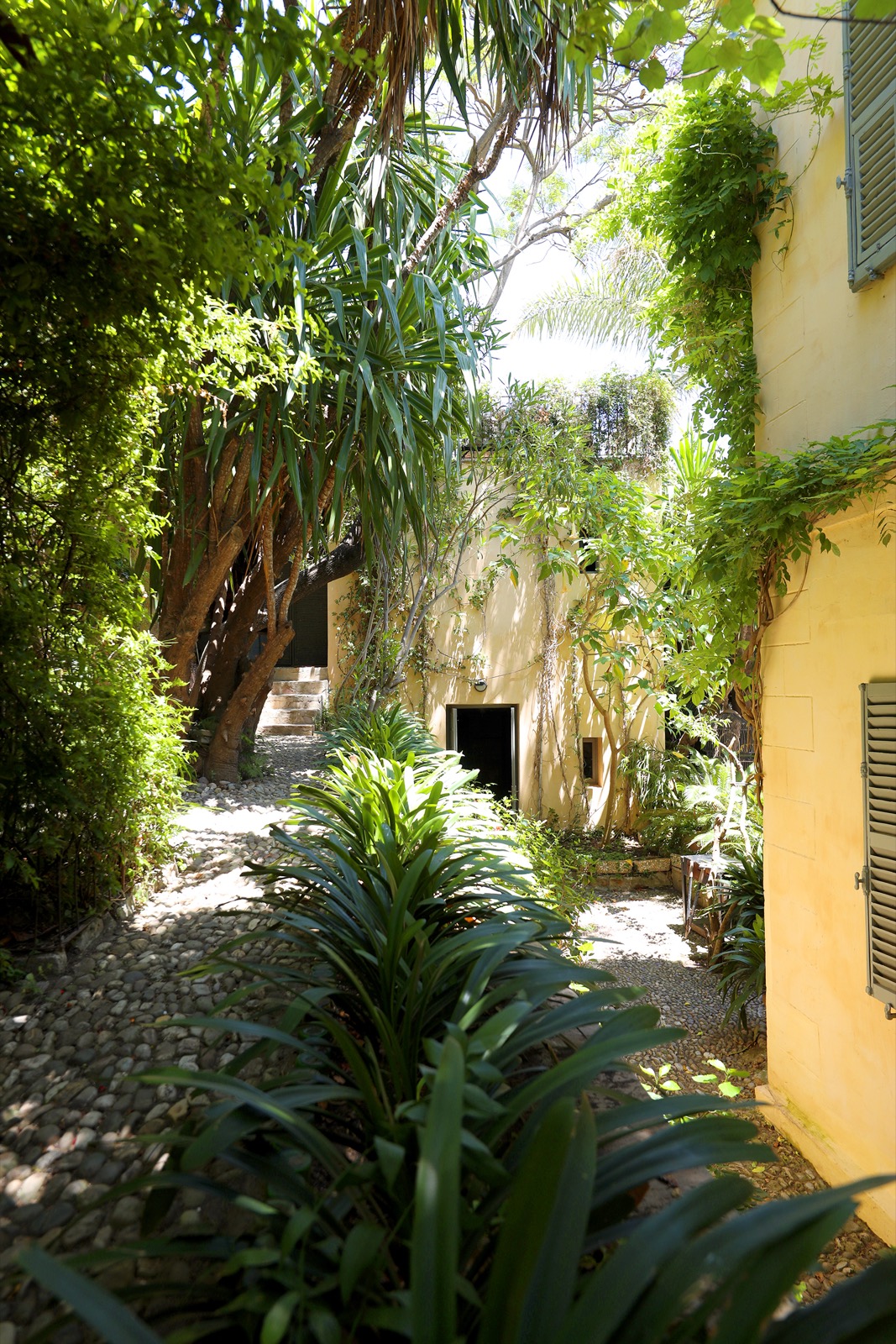 Une allée de galets du jardin de Mimi Calpe sous les frondaisons, entre les agapanthes et les murs jaunes